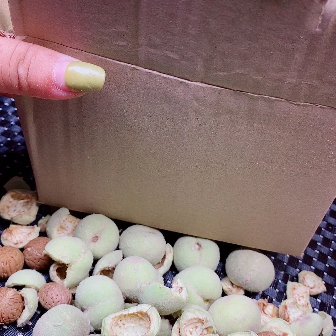 迷****桃核手串老树纽扣1.7