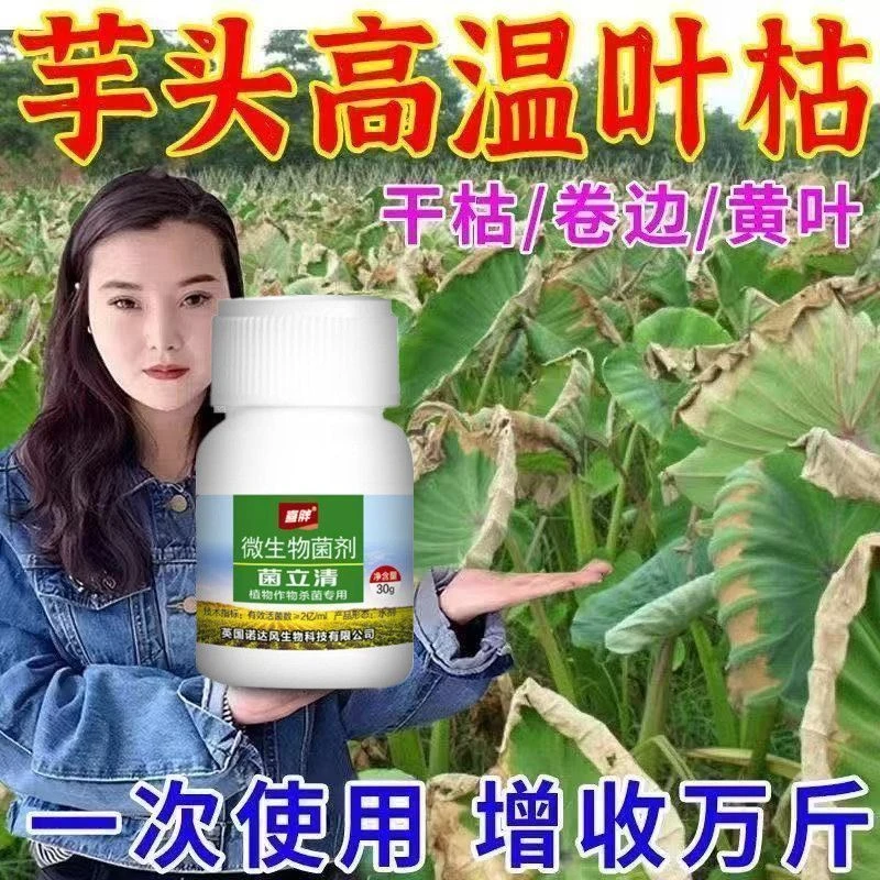 芋头病专用药烂叶斑点疫病霜霉病铜钱病芋瘟病全治防治微生物菌剂