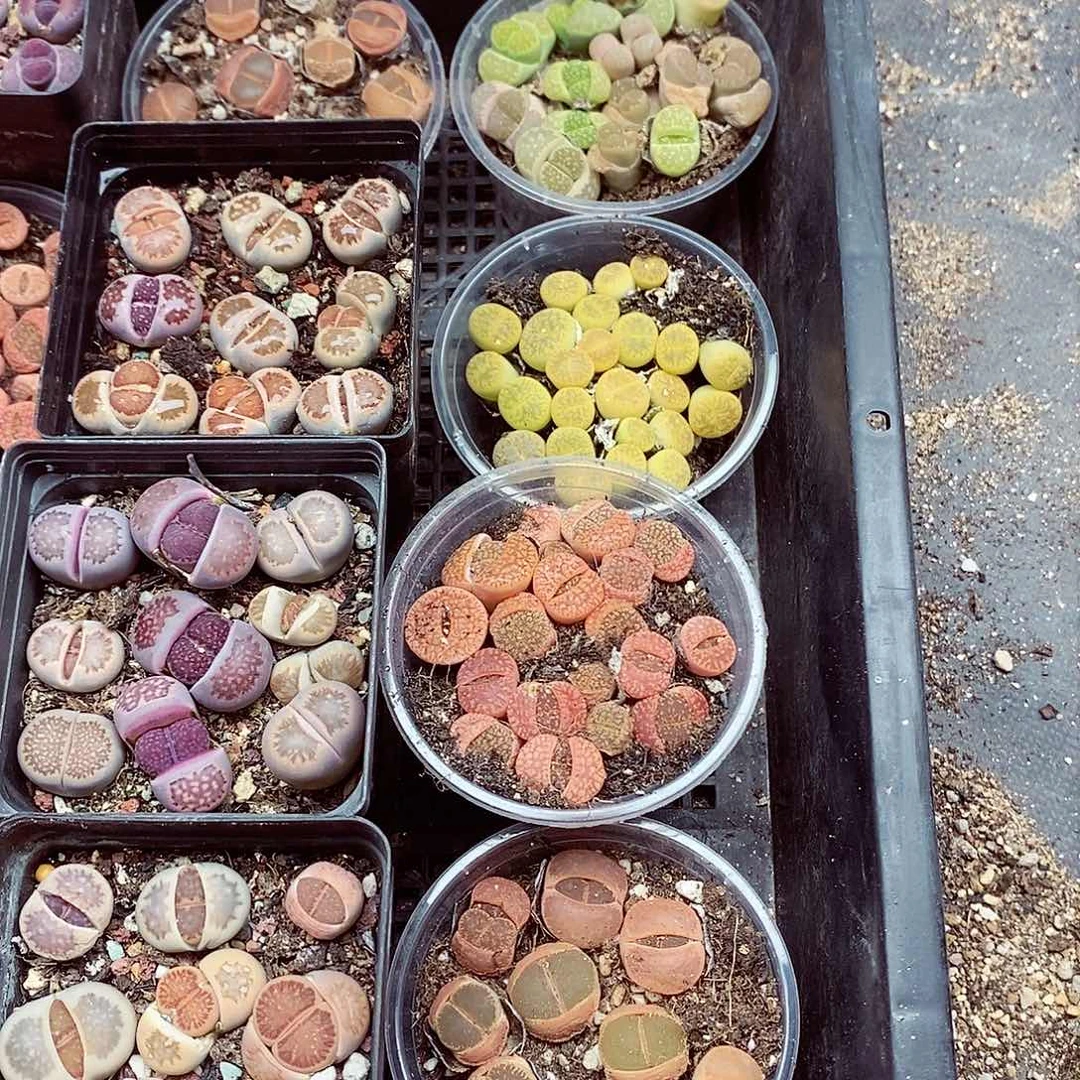 我要看电影呢还是等你们下班764