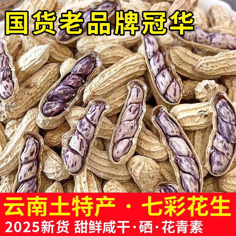 【新货】冠华七彩花生云南土特产甜鲜咸干带壳花生含硒野地花生