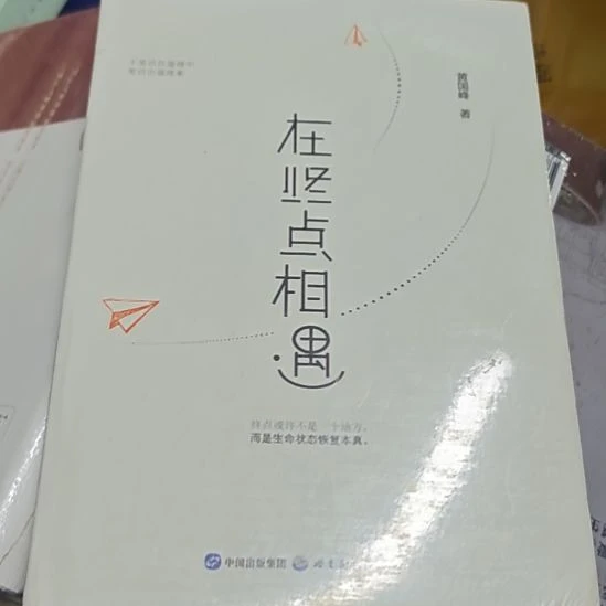在终点相遇，平精装小微瑕
