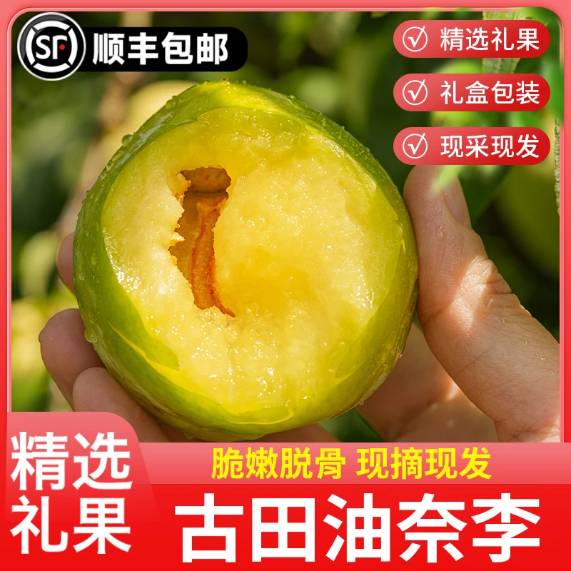 [顺丰包邮]正宗古田油奈李子桃形李带箱10斤青脆空心水果脱骨李