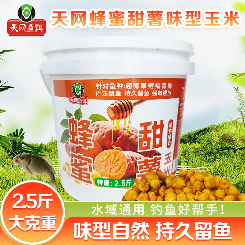 天网桶装蜂蜜甜薯玉米发酵打窝料挂钩钓大鱼野钓黑坑湖泊守钓鱼饵