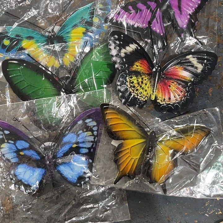 哈哈哈哈哈哈哈哈