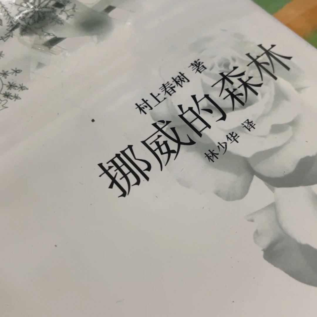 挪威的森林精装一个