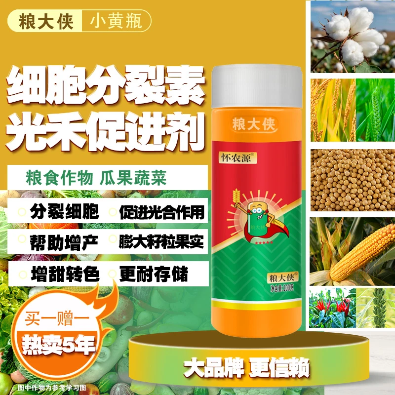 大田小麦水稻膨大分蘖穗大粒多灌浆大田增产增收粮大侠小黄瓶热卖