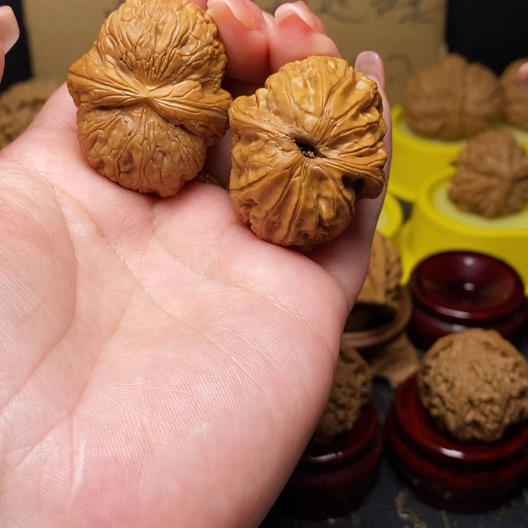 大叶紫檀（黑酸枝木类）