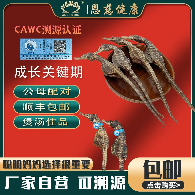 【恩慈优选】海干货马馬足干生晒泡酒煲汤料茶 公母搭配