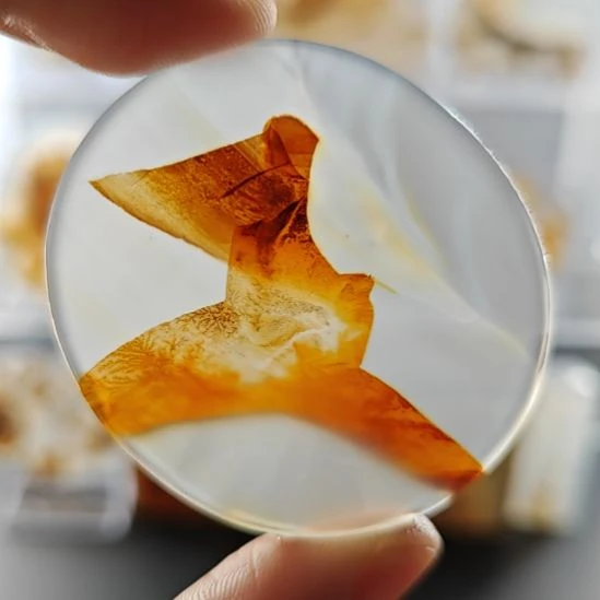 玛瑙/玉髓未镶嵌吊坠(不含链)24号