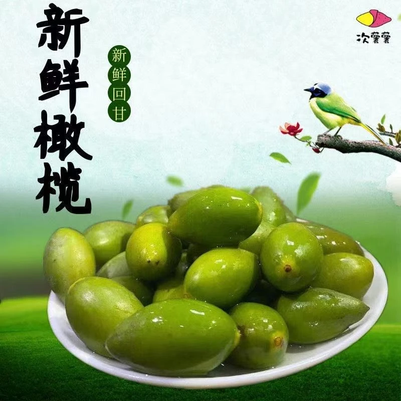 正宗潮汕新鲜甜种青橄榄青枣酥脆回甘马蹄无渣香甜橄榄整箱批发直
