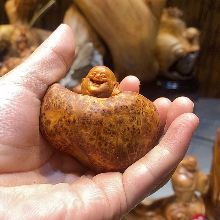 柏木（崖柏）隐*