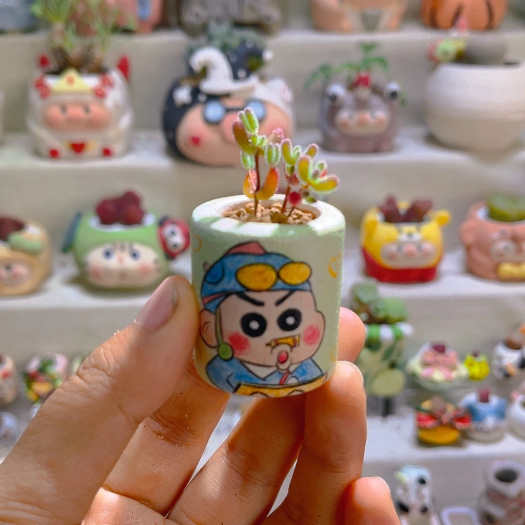 022金桔枝干带盆土一套30