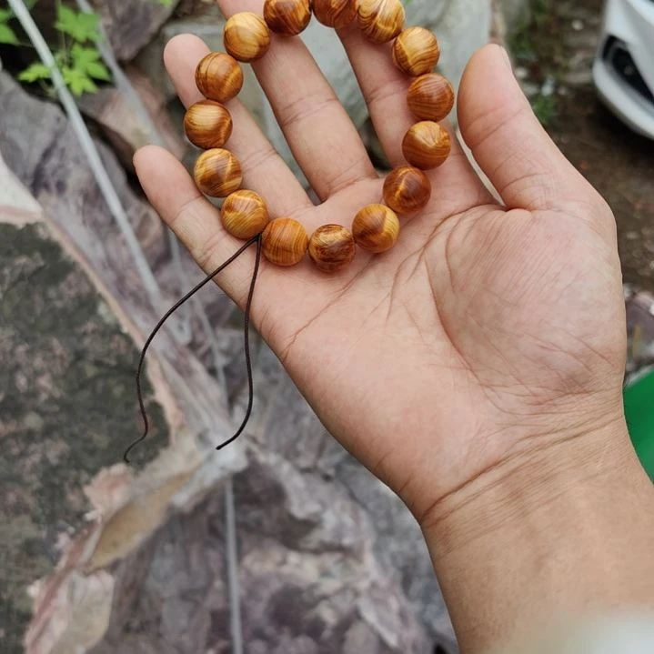 1.5龙胆闪电太行崖柏