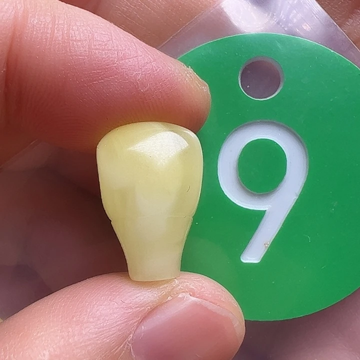 蜜蜡未镶嵌珠宝奇石10.8m m