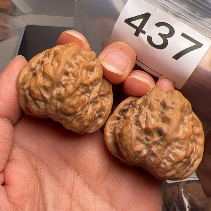 核桃39边42肚437号蛙