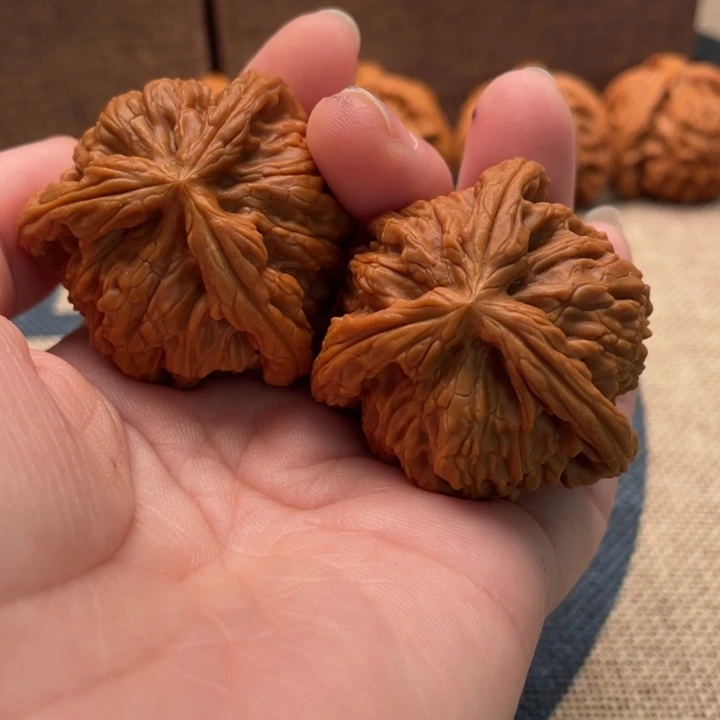 J****核桃白狮子41核桃