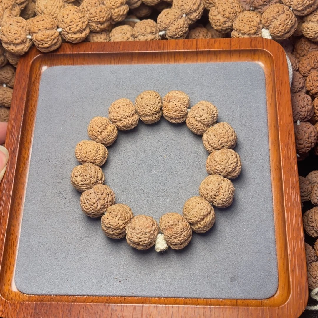 菩提籽类2号金刚菩提菠萝蜜21