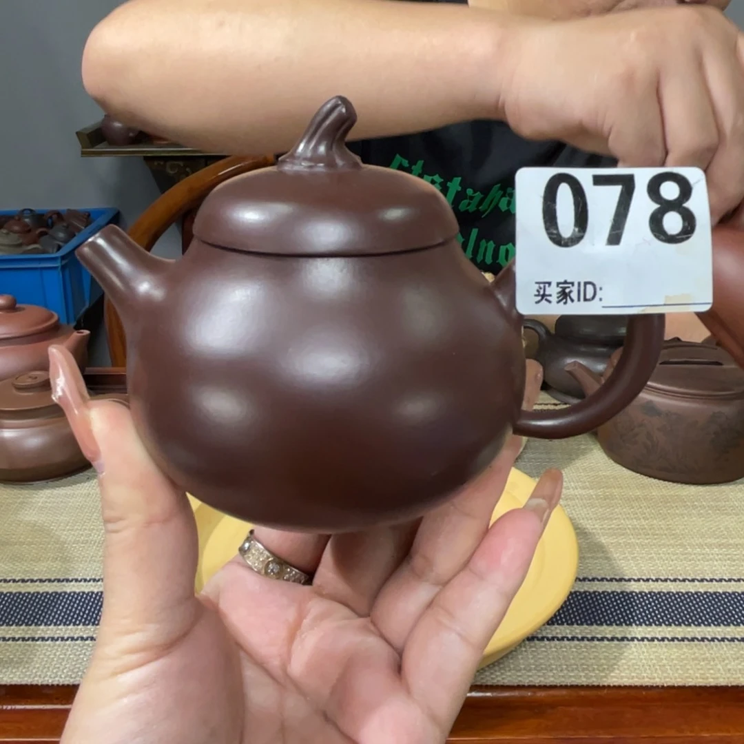 茶壶紫砂宜兴紫砂111