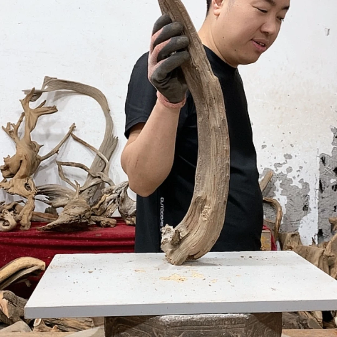 【闪购商品】柏木杨*子我们都是好孩子