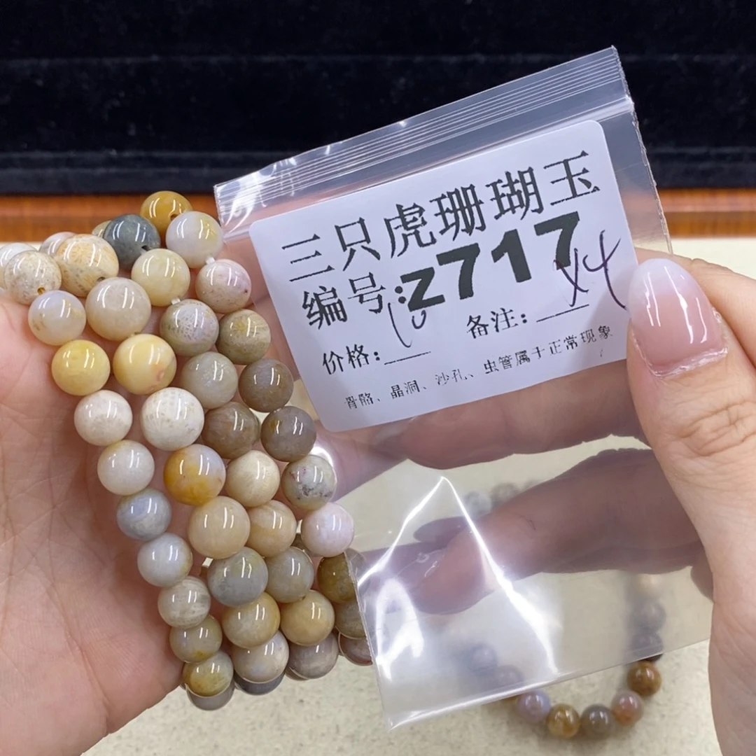 硅化珊瑚（珊瑚玉）1未镶嵌?****肉