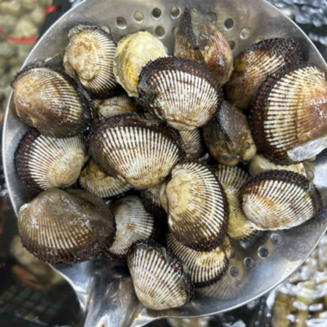 鲜活毛哈 （1斤装）