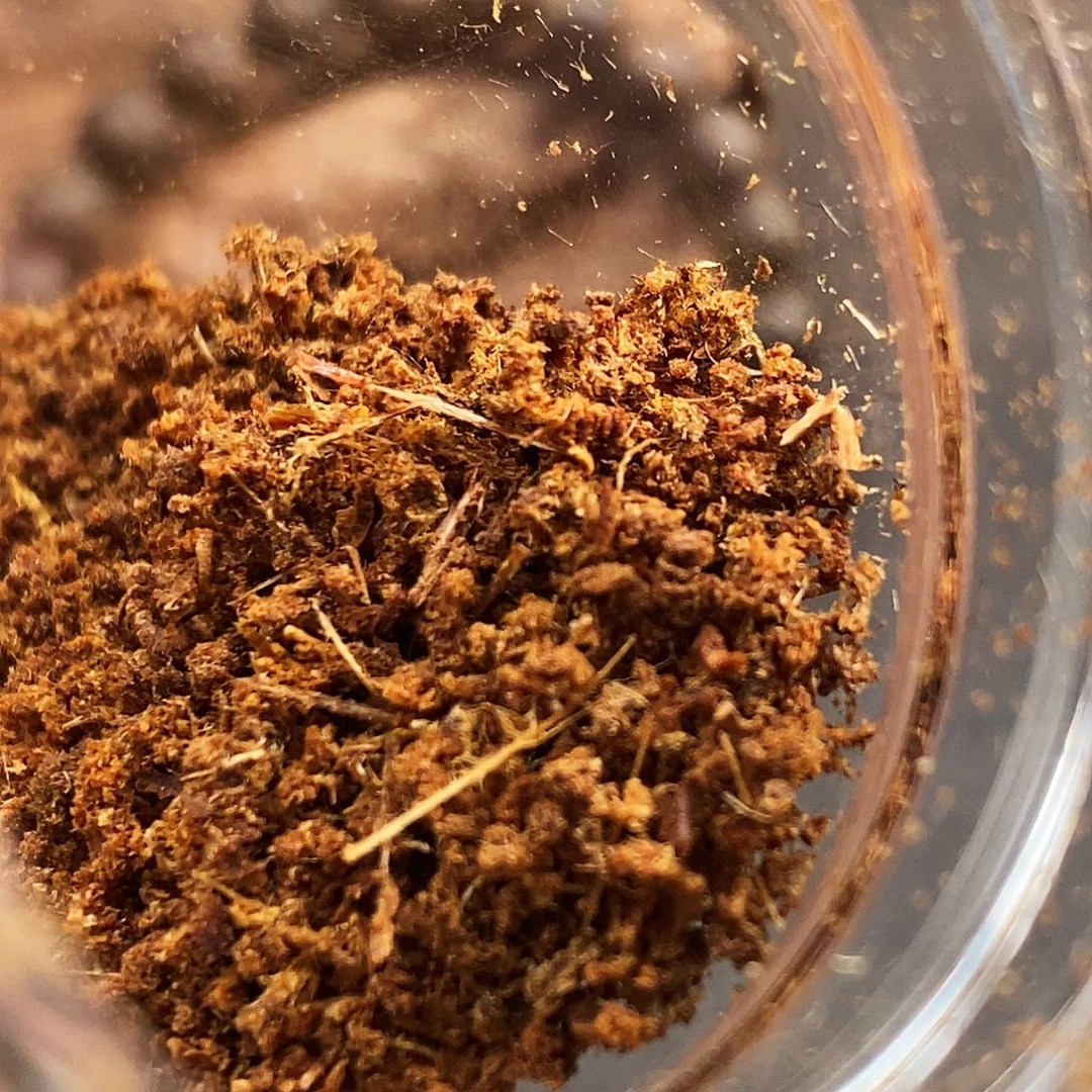 沉香沉香枕海南油绿白双色棋楠0.1