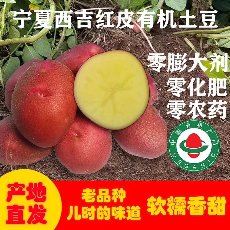 宁夏西吉高原有机红皮土豆(李琬有机菜)