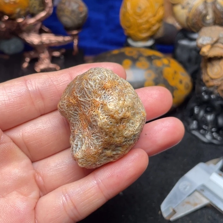 石材纯天然奇石原石54