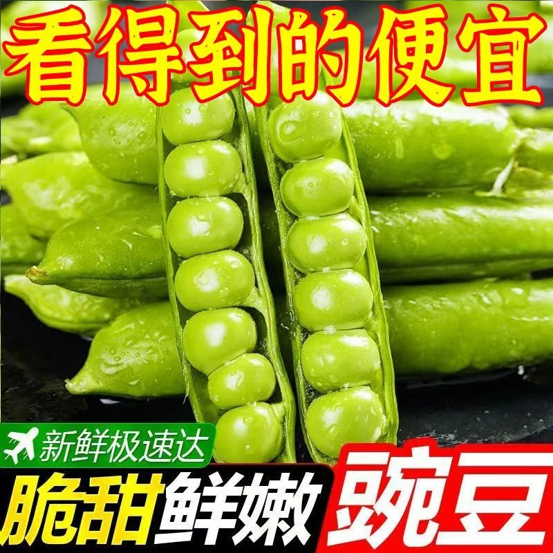 【新店半价】云南豌豆新鲜现摘带壳豌豆应季蔬菜当季1/3/5/9斤包邮