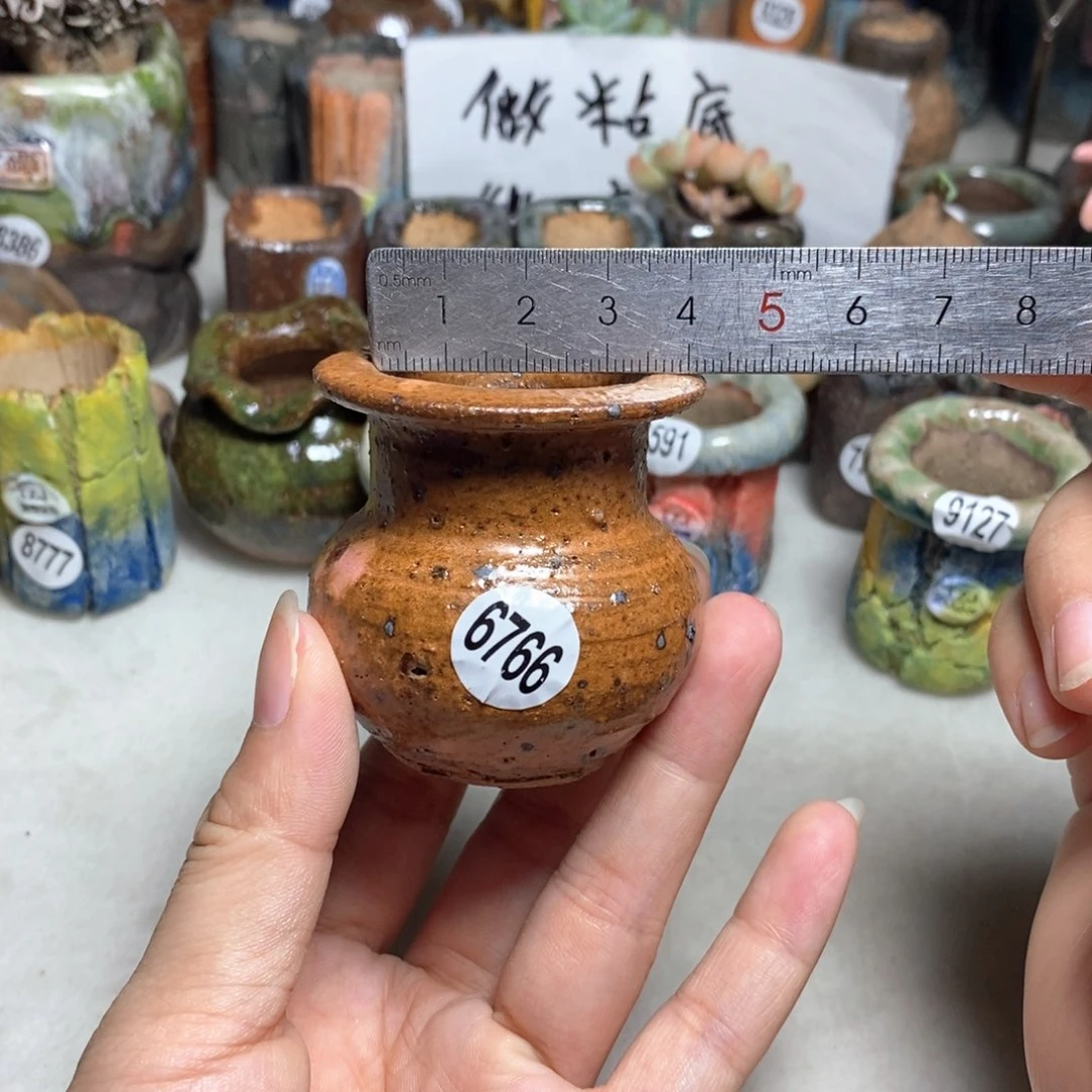 拍5送一个小礼物