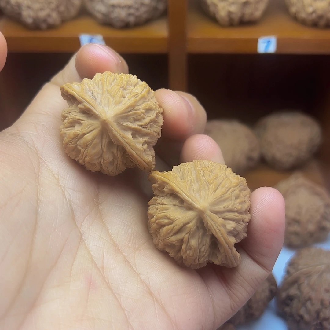 吊坠桃核40尺盘龙纹龟背