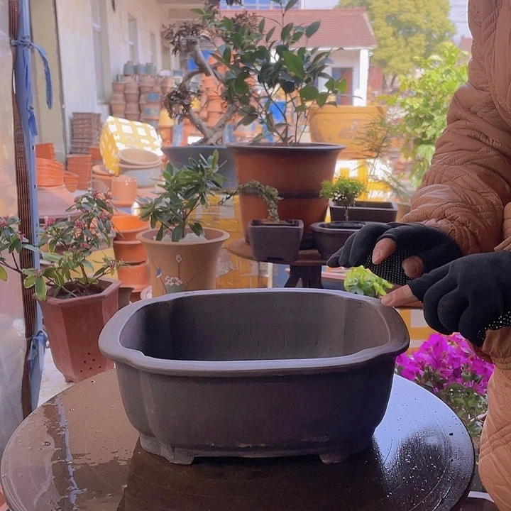 紫砂宜兴紫砂海棠30