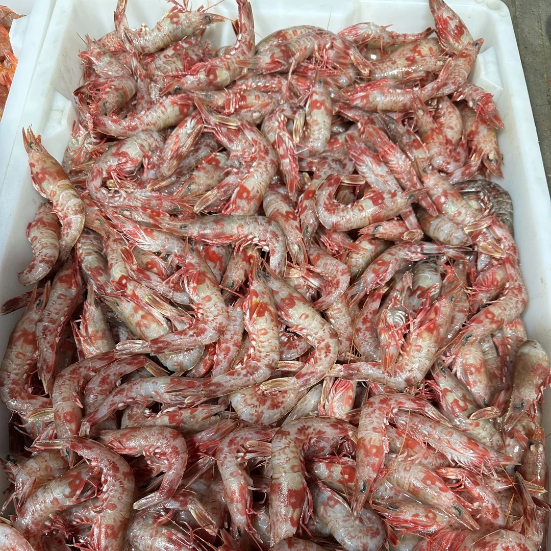 【东海野生樱花虾3斤】一斤60头左右超低温锁鲜发货