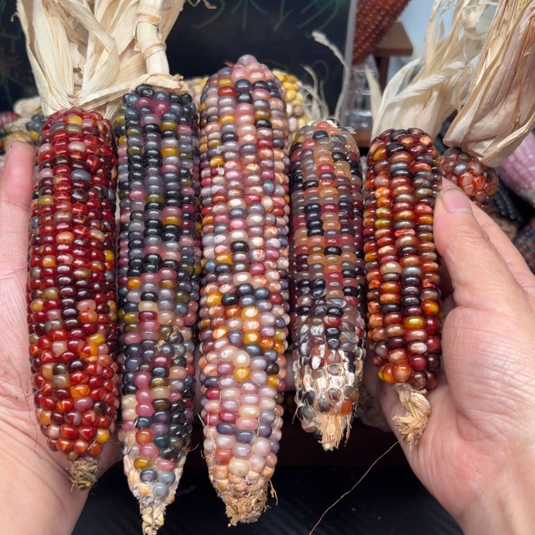 柏香籽/百香籽吊坠?**语