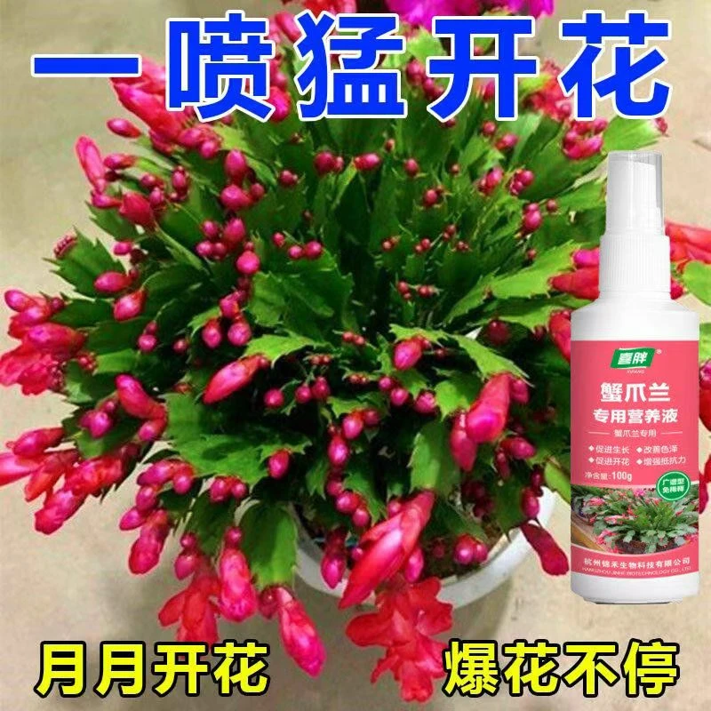 【一喷活】蟹爪兰嫁接营养液仙人掌嫁接蟹爪兰专用肥果树嫁接愈合