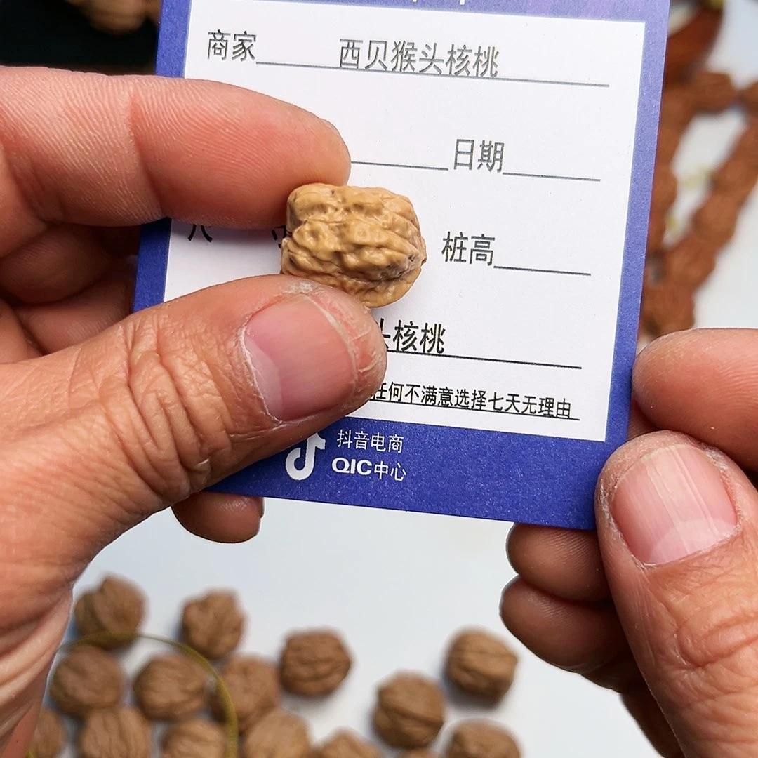 猴头核桃吊坠金蟾17三通