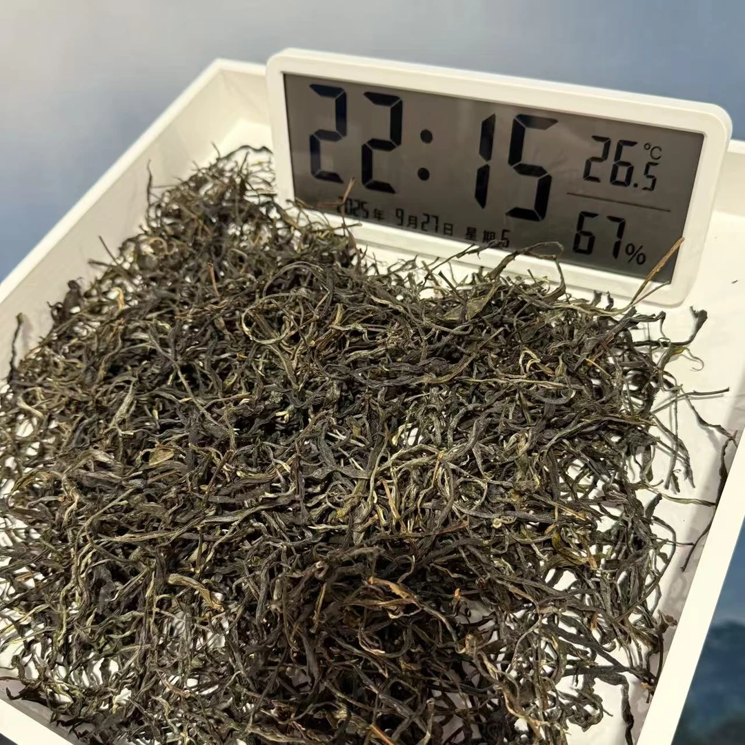 D08-刀艳平-2025年弯弓乔木头春