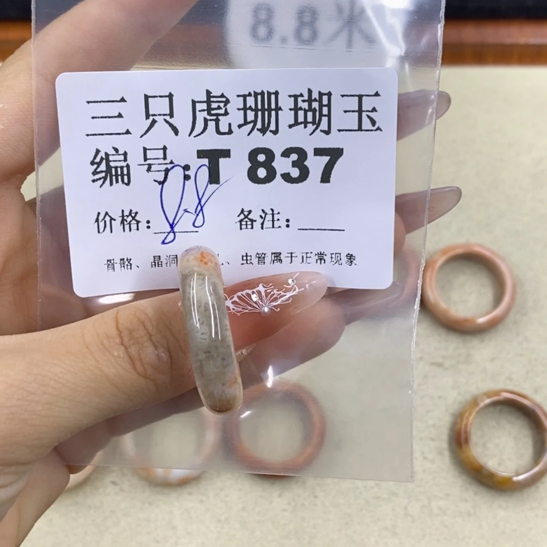 硅化珊瑚（珊瑚玉）1足银镀金镶嵌戴****〜