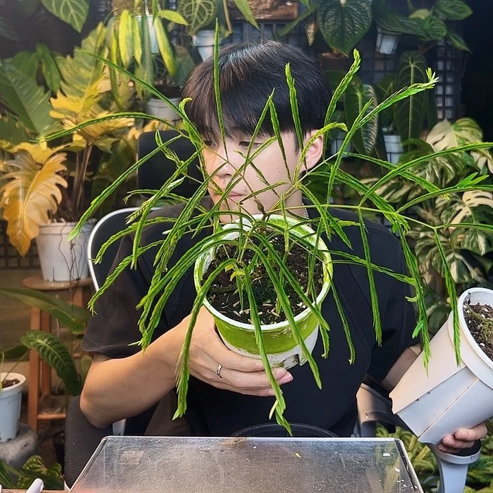 z***完全开放一物一拍X125