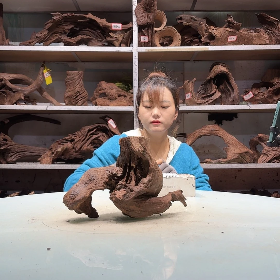 紫砂紫柚不包损，必黄水鲨****u3577