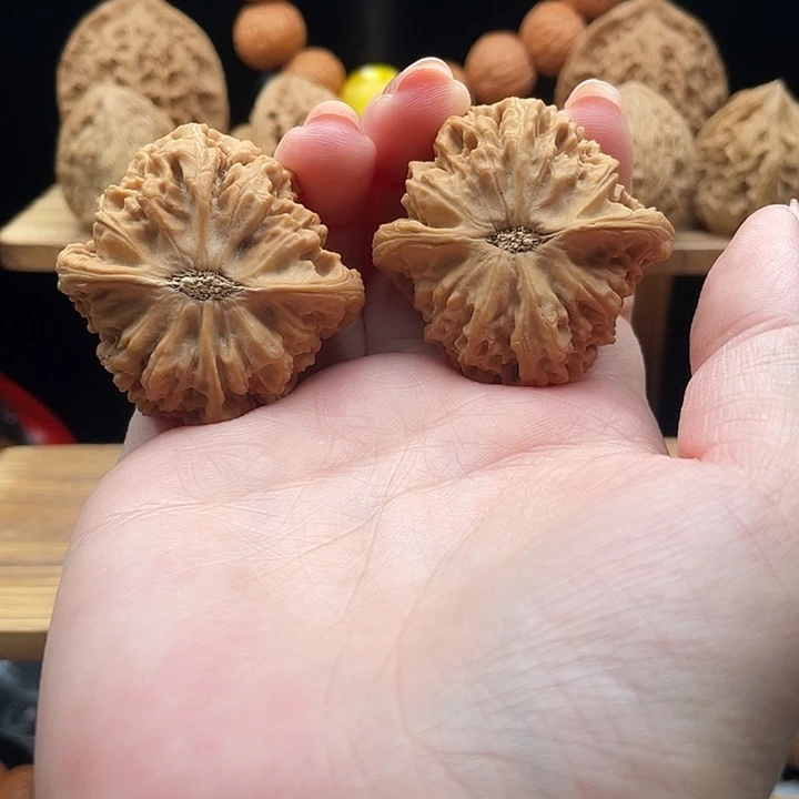 没***帅物美价廉物美价廉
