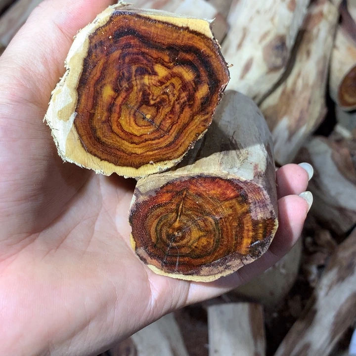 花梨木类海南黄花梨