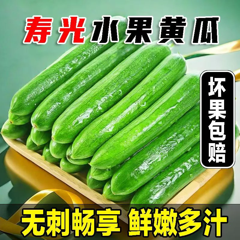 【精品果】山东寿光水果黄瓜新鲜现摘无刺脆嫩当季可生吃