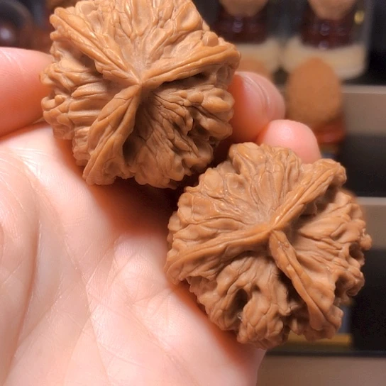 野生骨王：三棱全品哦