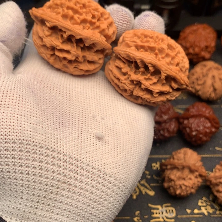 泡**弟秦岭森林中出现许多鸟类及