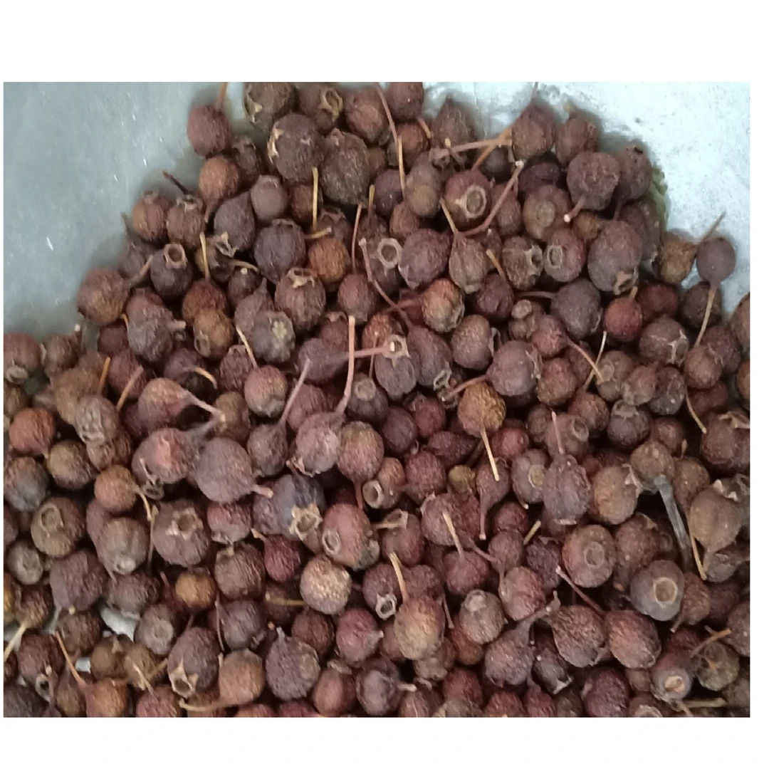 洋流甄选藏山楂正品高原采摘正宗泡水养生高山