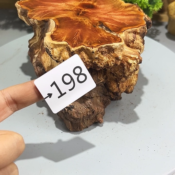 香榧木观*火琉璃……
