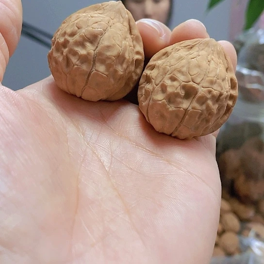 【闪购商品】把件文玩核桃37.5龟甲纹