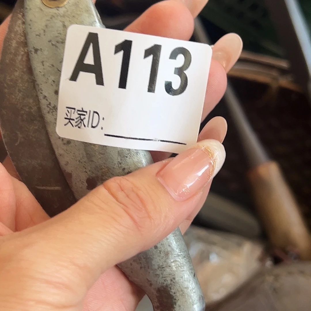 鲜***时瓷片啊啊啊啊啊啊啊啊
