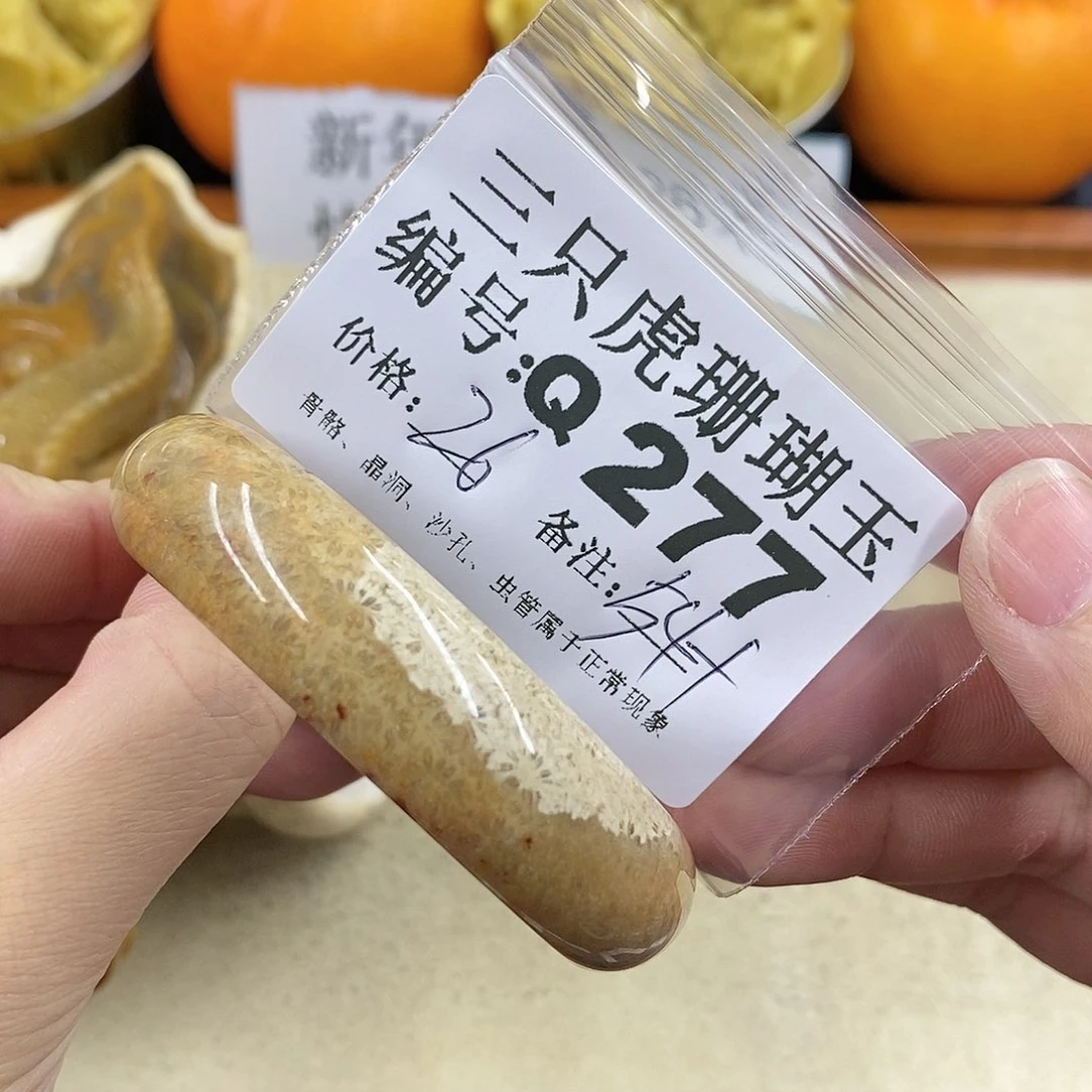 硅化珊瑚（珊瑚玉）1未镶嵌乌****子